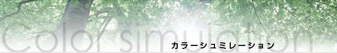 カラーシュミレーション